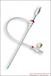 Sheath